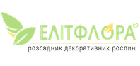 Elit Flora